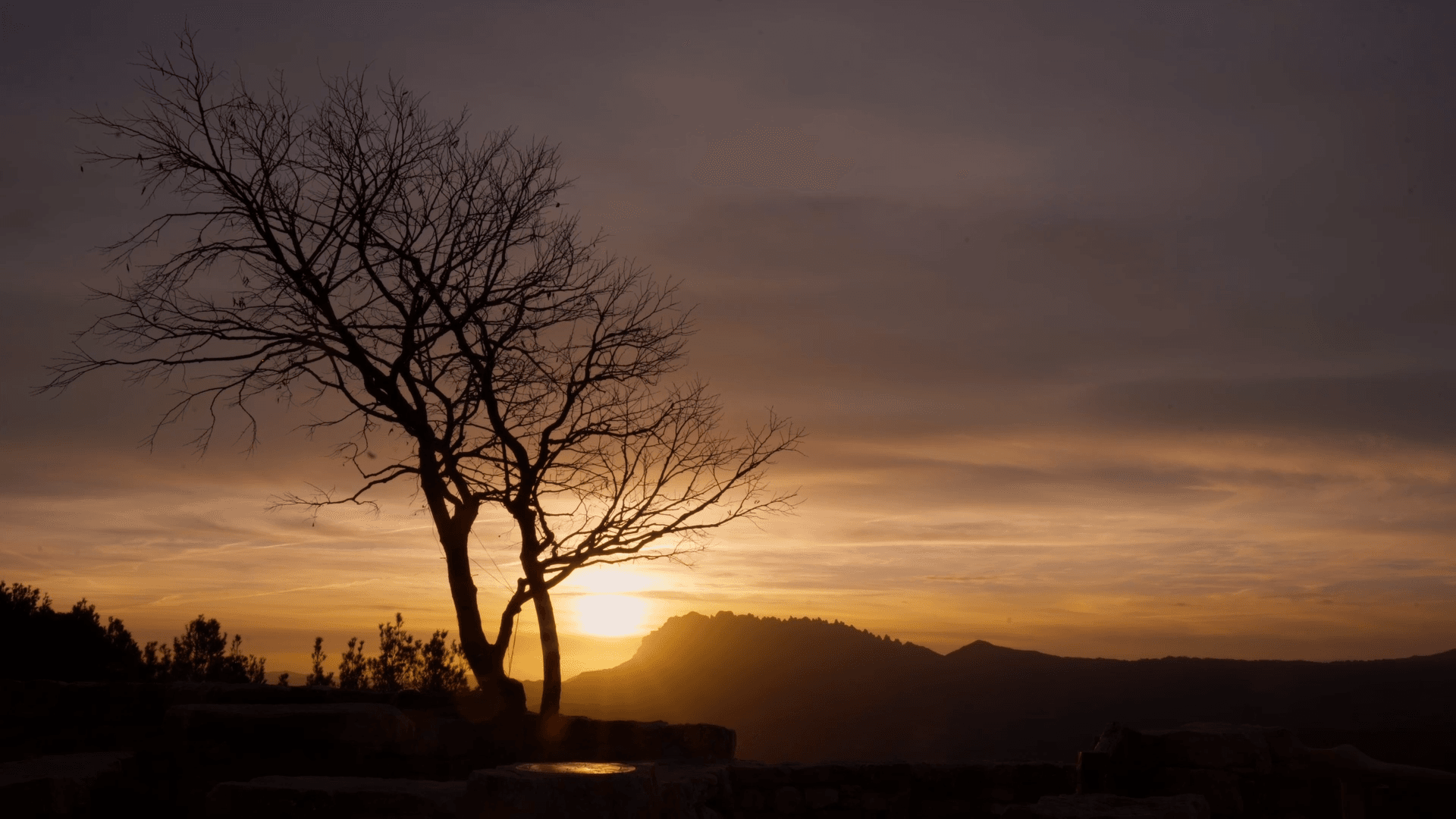 Description of the image