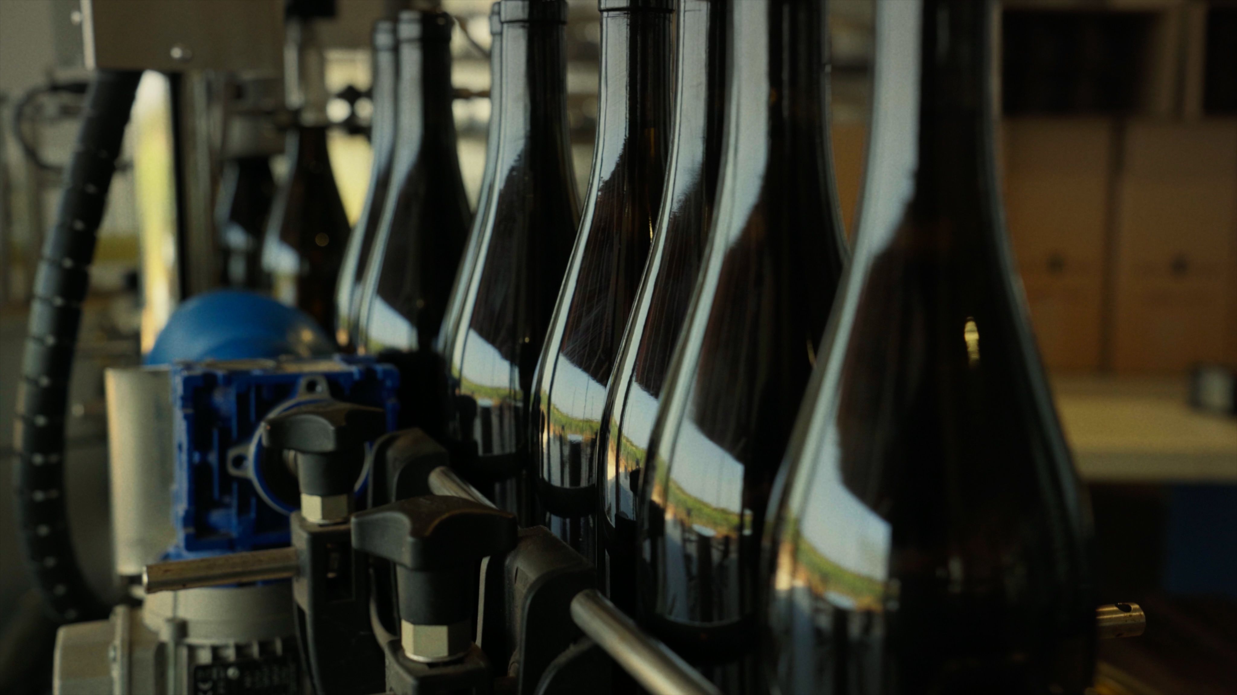 Description of the image