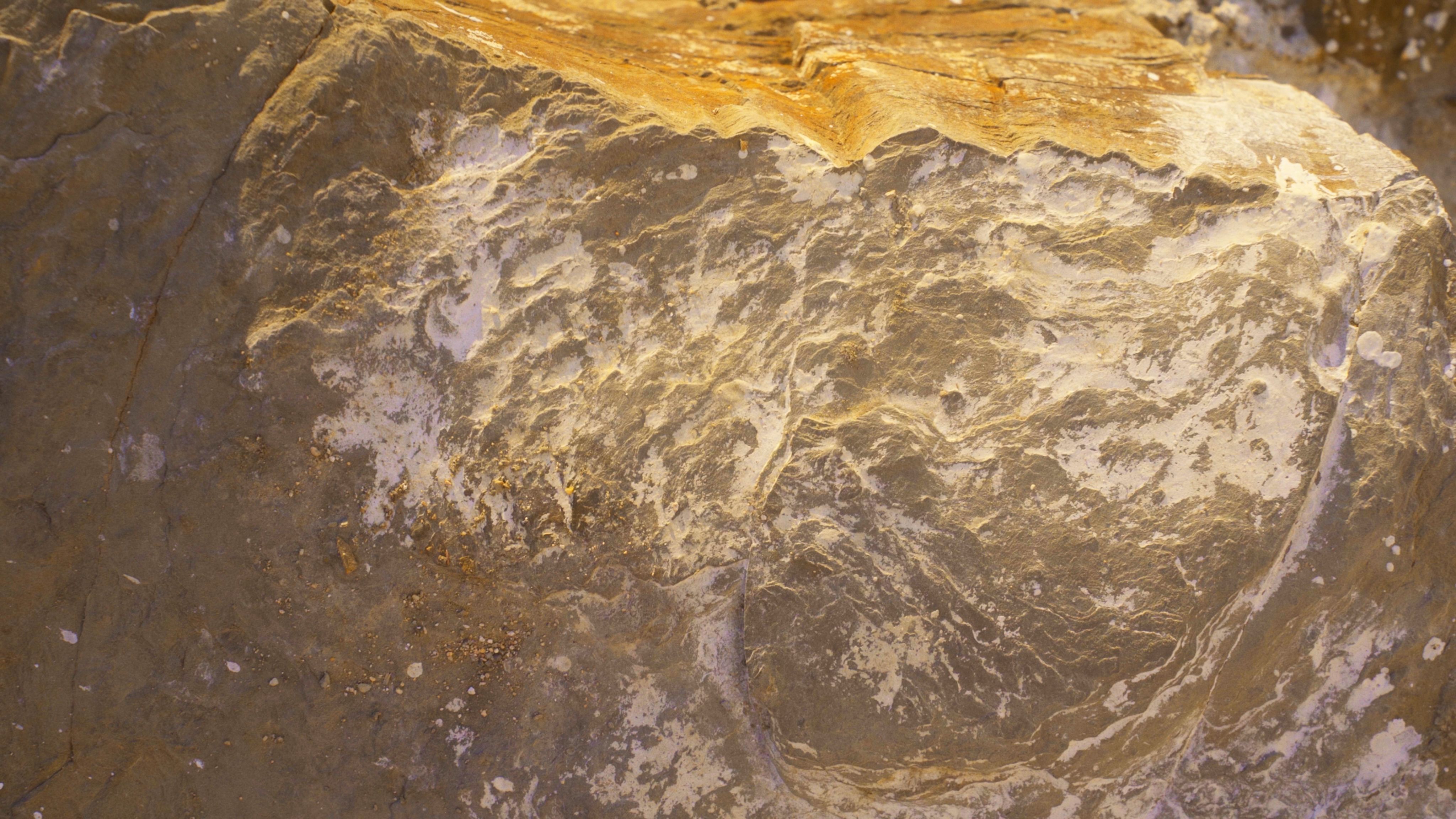 Description of the image